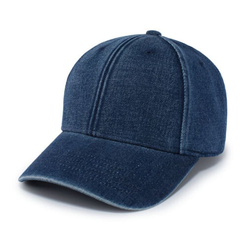 Hybrid Denim Dad Cap Vignette