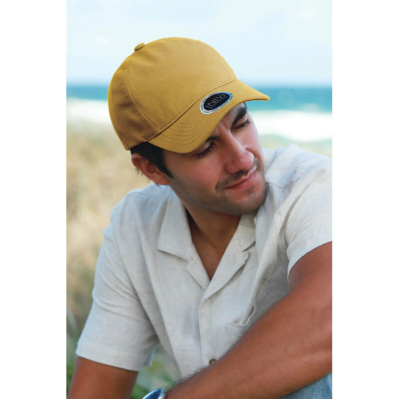 INIVI ENZYME 2 PANEL CAP Vignette