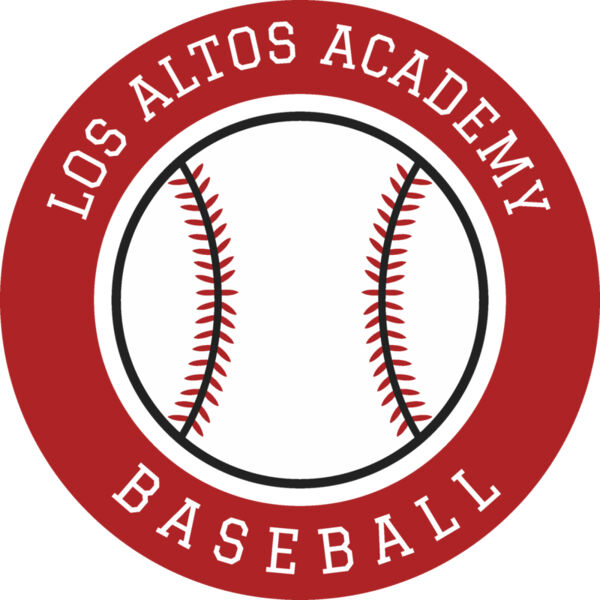 Baseball Template DNT002 Vignette