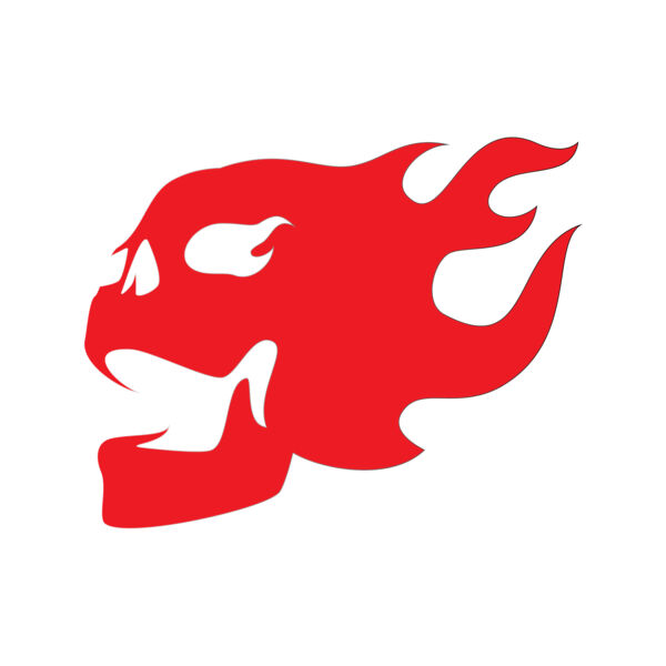 Elements Skulls logo template 25 Vignette