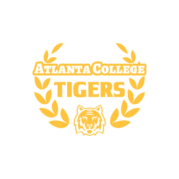 School Tigers 04 Vignette