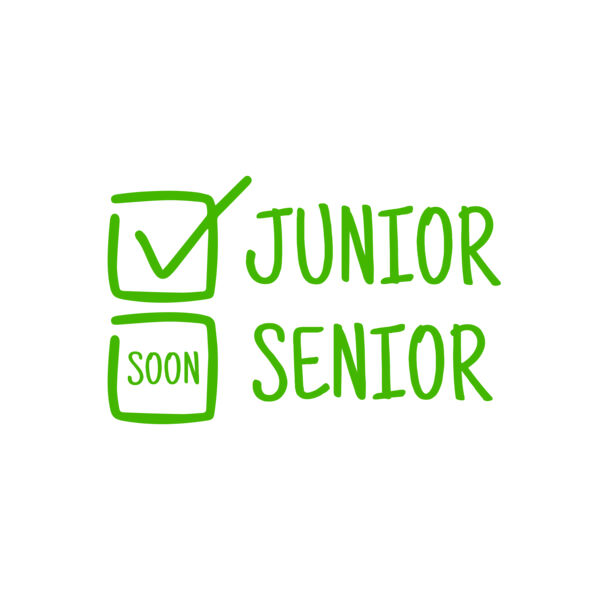 School Statement 24 Vignette