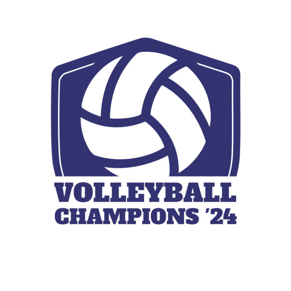 Volleyball 14 Vignette