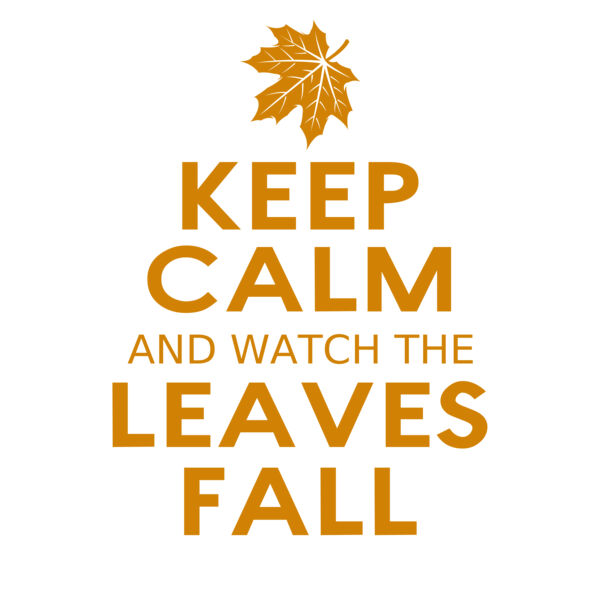 Fall Season 04 Vignette