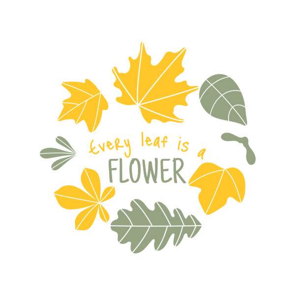 Fall Season 13 Vignette