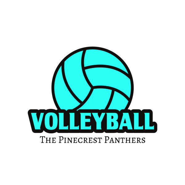 Volleyball 37 Vignette