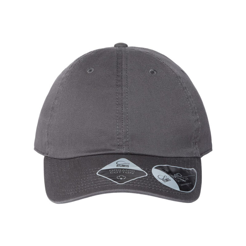 Sustainable Dad Hat Vignette