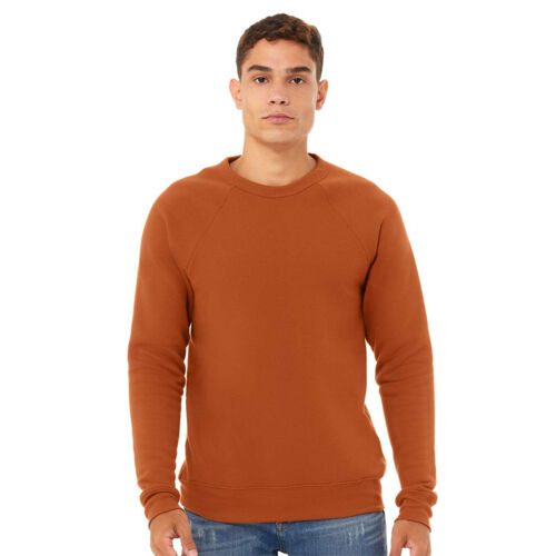 Sponge Fleece Raglan Crewneck Sweatshirt Vignette