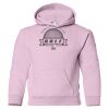 Heavy Blend™ Youth Hooded Sweatshirt Vignette